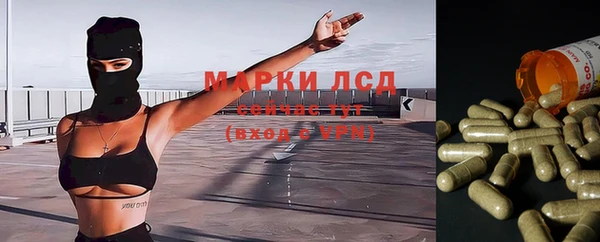 крисы Абаза