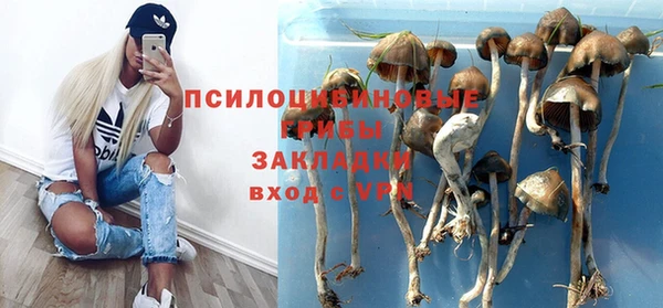крисы Абаза