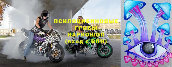 крисы Абаза